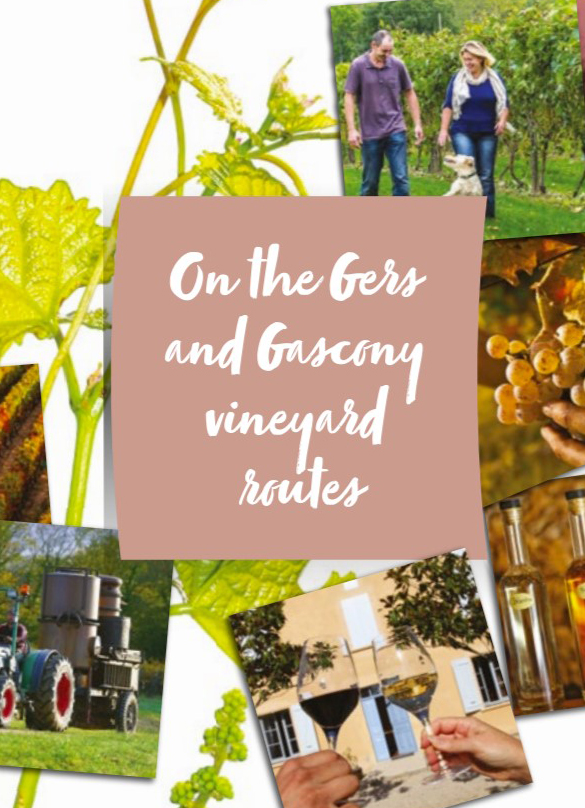 sur la route des vignobles