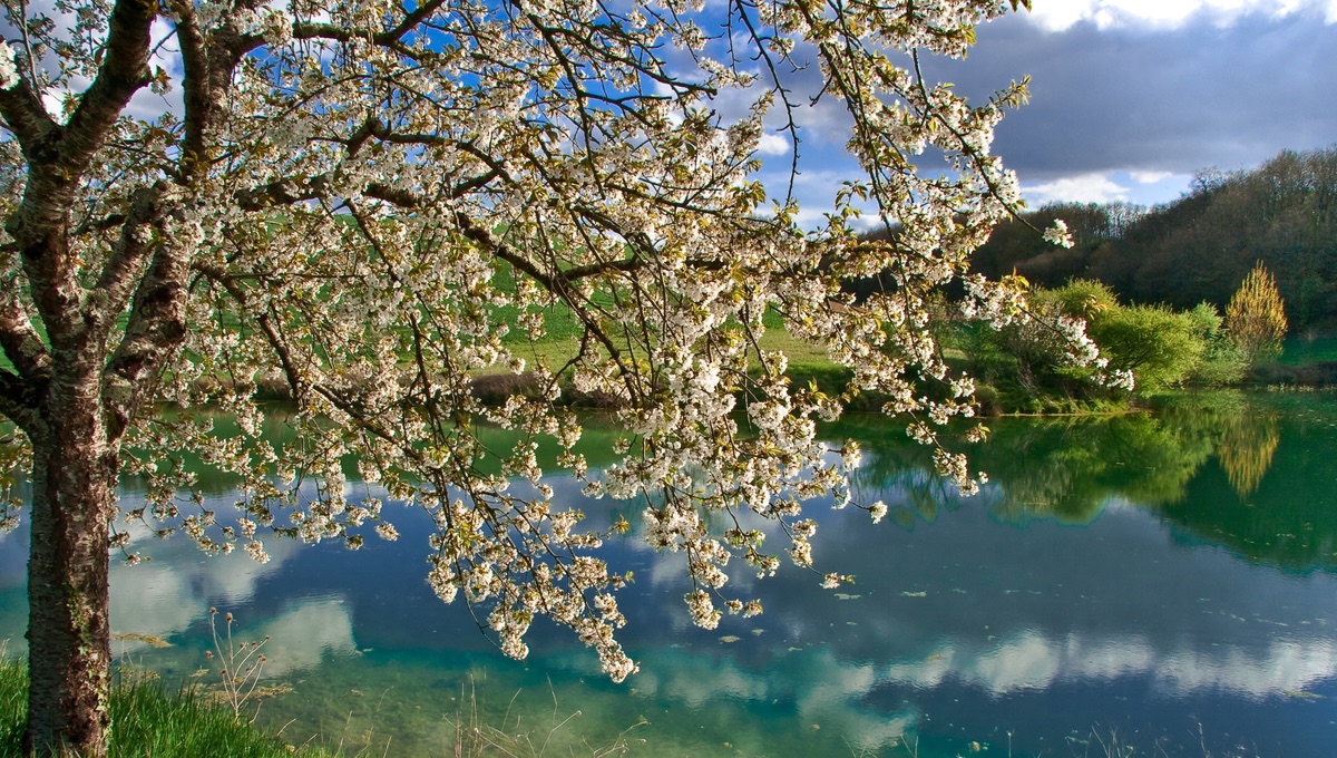 Notre nature