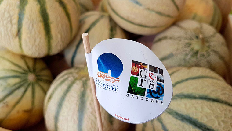 Le Melon de Lectoure